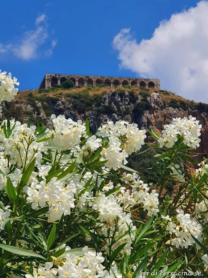 Villa Regina Sul Mare Terracina Exterior foto